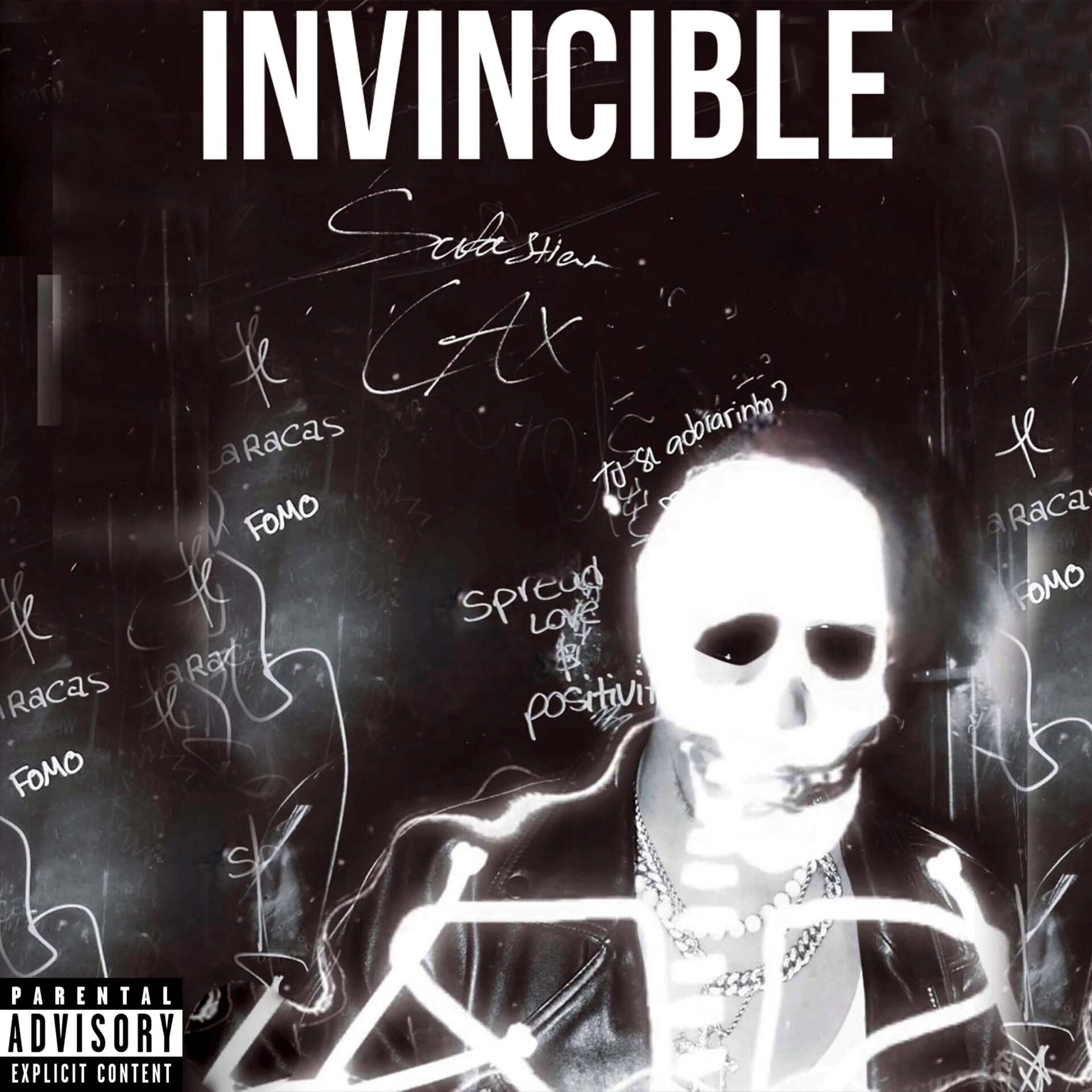 Invincible by Sabastianlax cover art
