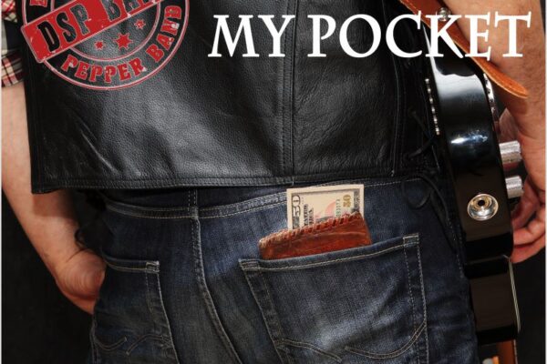 Hand in My Pocket by Down South Pepper Band cover artwork
