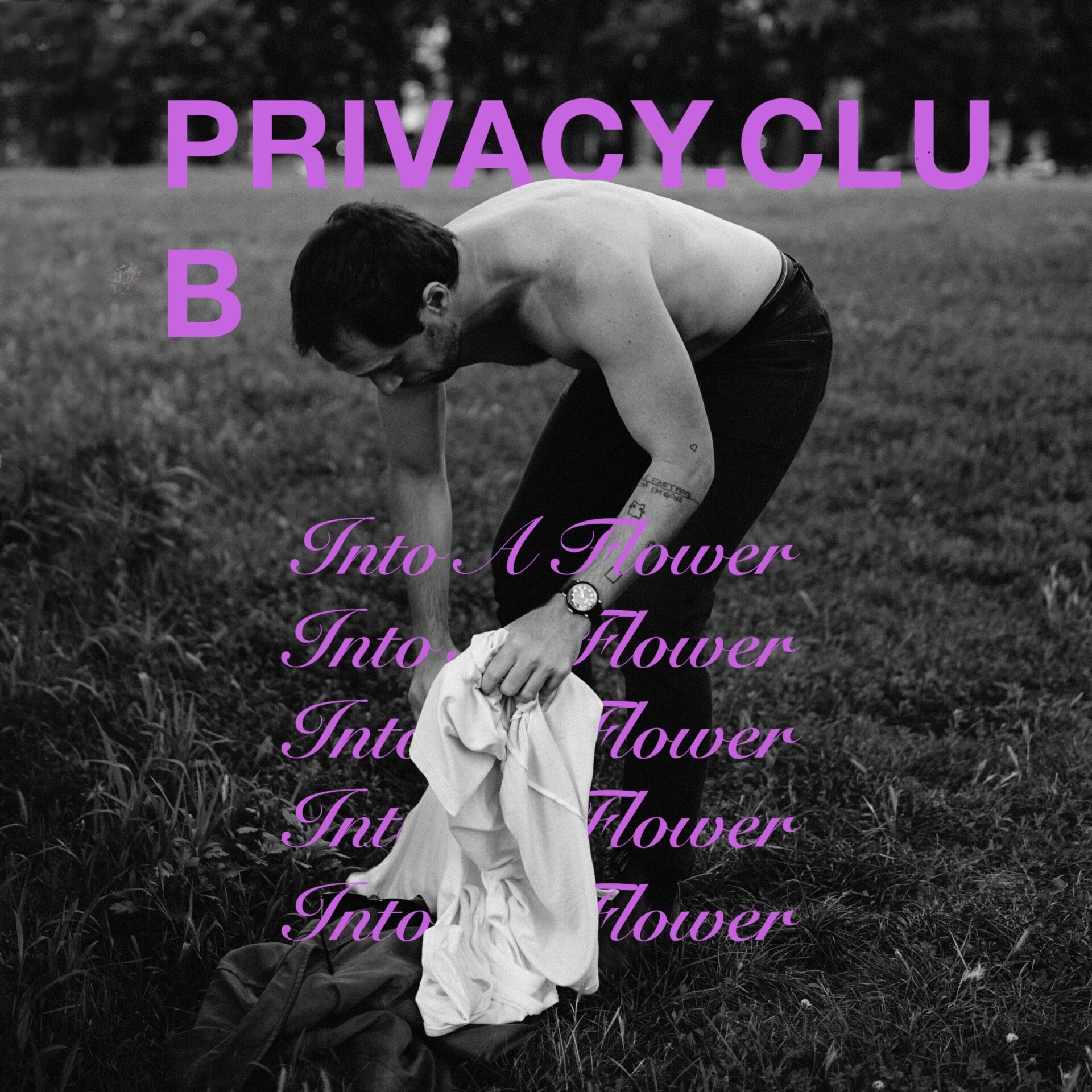 Into a Flower by PrivacyClub cover art