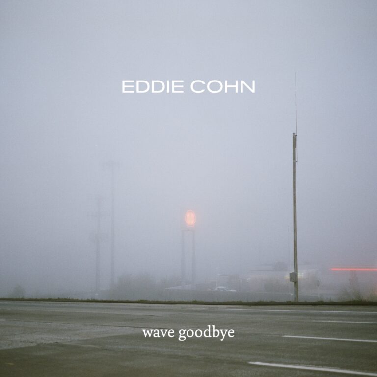 Wave Goodbye by Eddie Cohn cover art