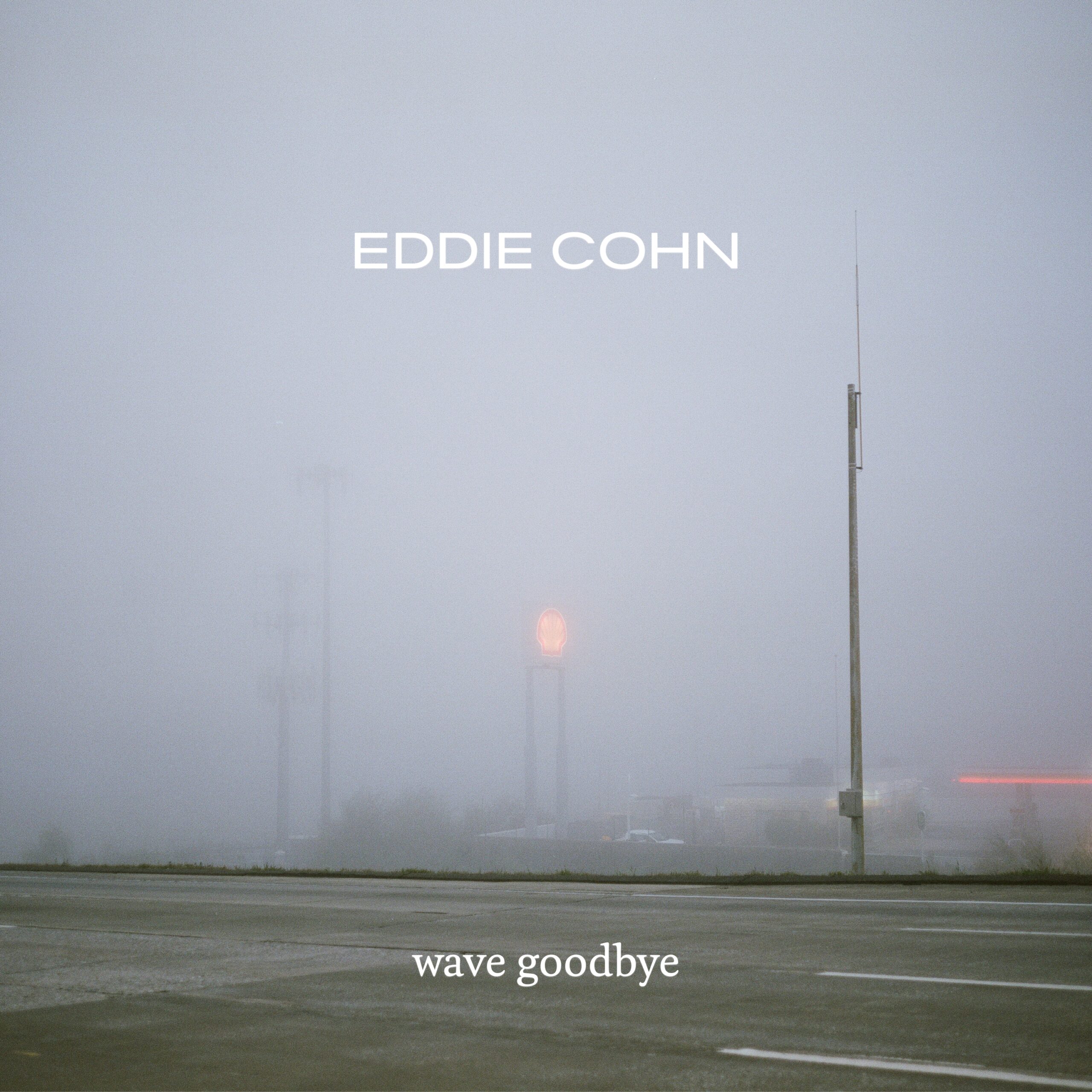 Wave Goodbye by Eddie Cohn cover art