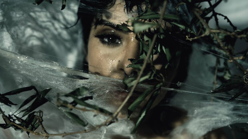 Wrené Nova's Metamorphosis song cover art