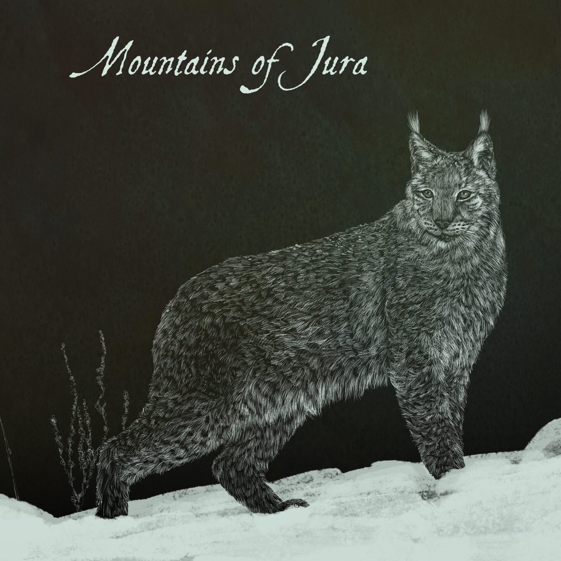 Album Mountains of Jura by Mountains of Jura cover art
