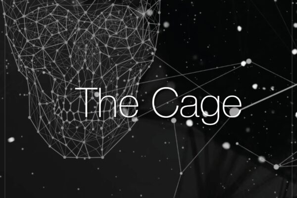 The Cage by Shyfrin Alliance cover art