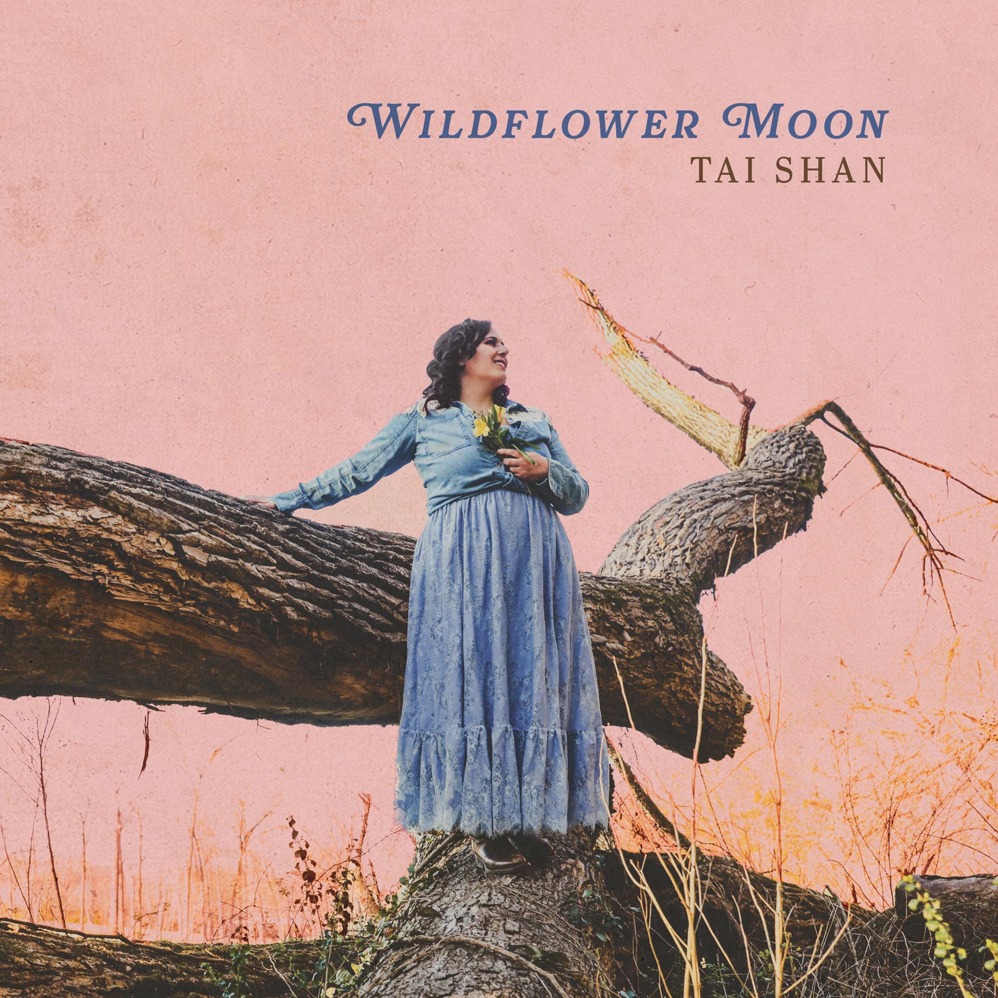 Wildflower Moon album by Tai Shan cover art