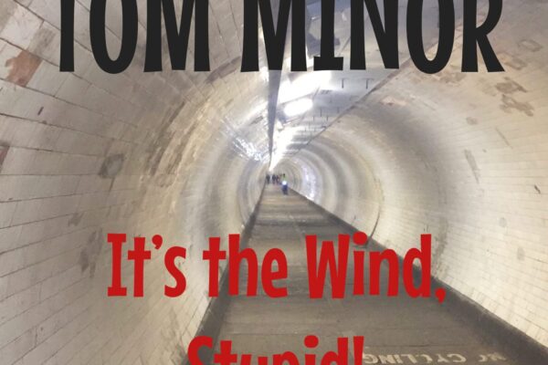 It's the Wind by Tom Minor cover art