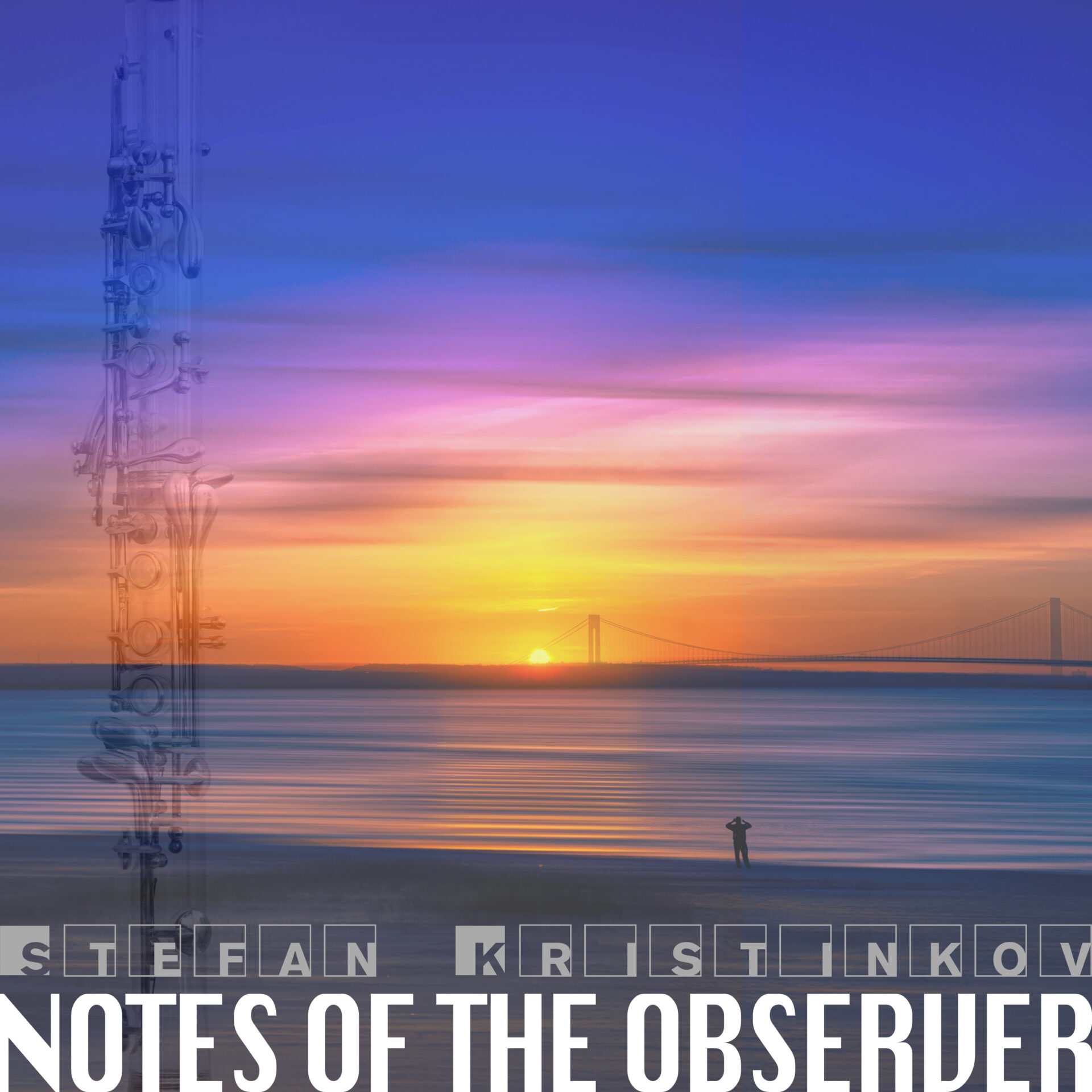 Notes Of The Observer by Stefan Kristinkov cover art