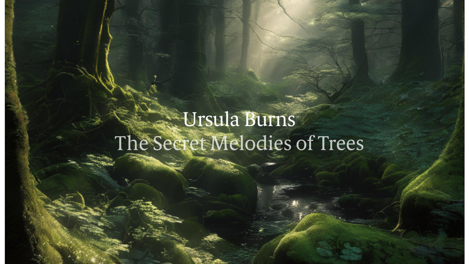 The Secret Melodies of Trees by Ursula Burns cover art