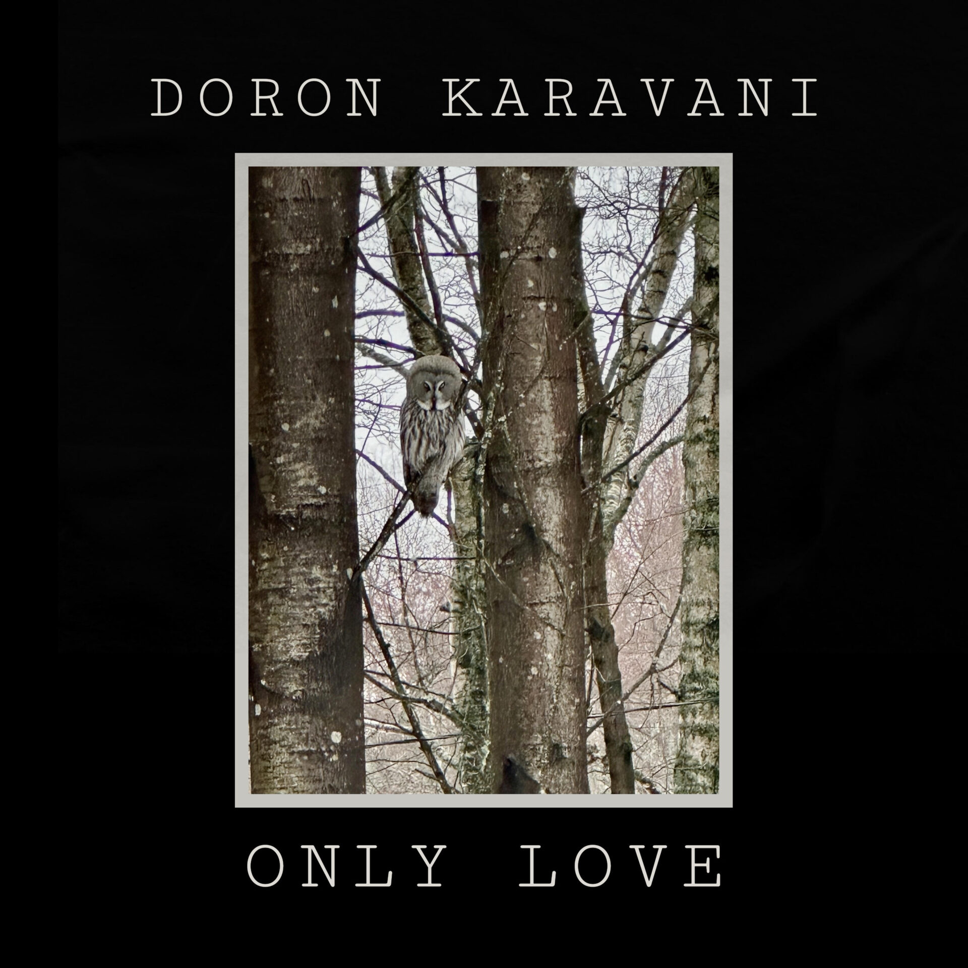 Only Love by Doron Karavani cover art