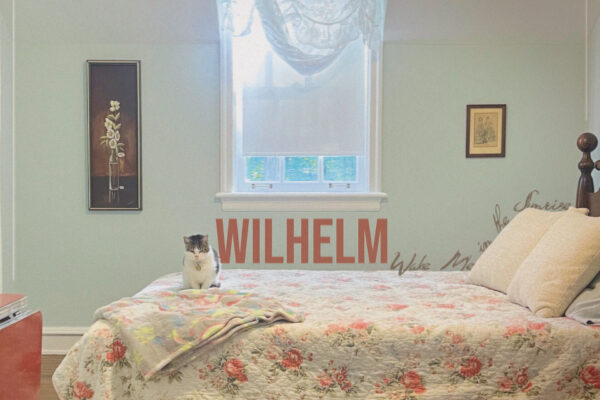 Wake Me in the Sunrise by Wilhelm album cover art