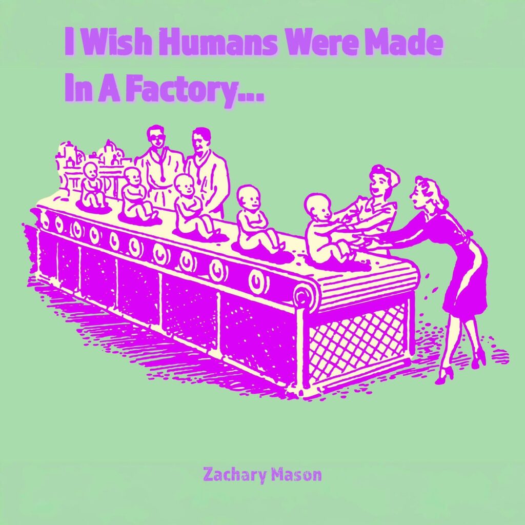 I Wish Humans Were Made In A Factory by Zachary Mason song cover art
