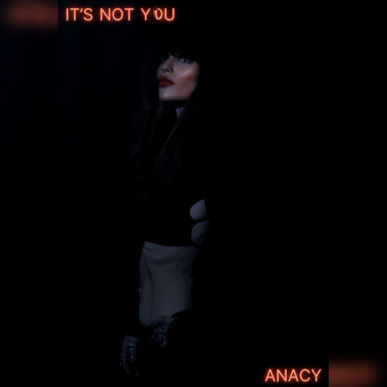 It’s Not You by ANACY cover art