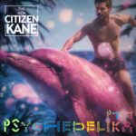 Psychedelika by The New Citizen Kane Music Album Covers
