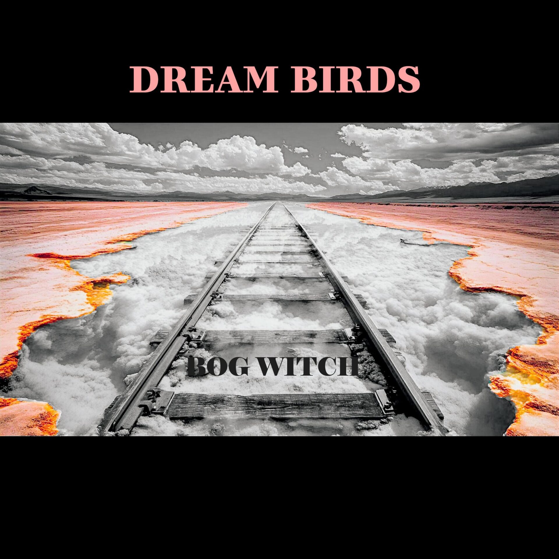 Dream Birds by Bog Witch song cover Art