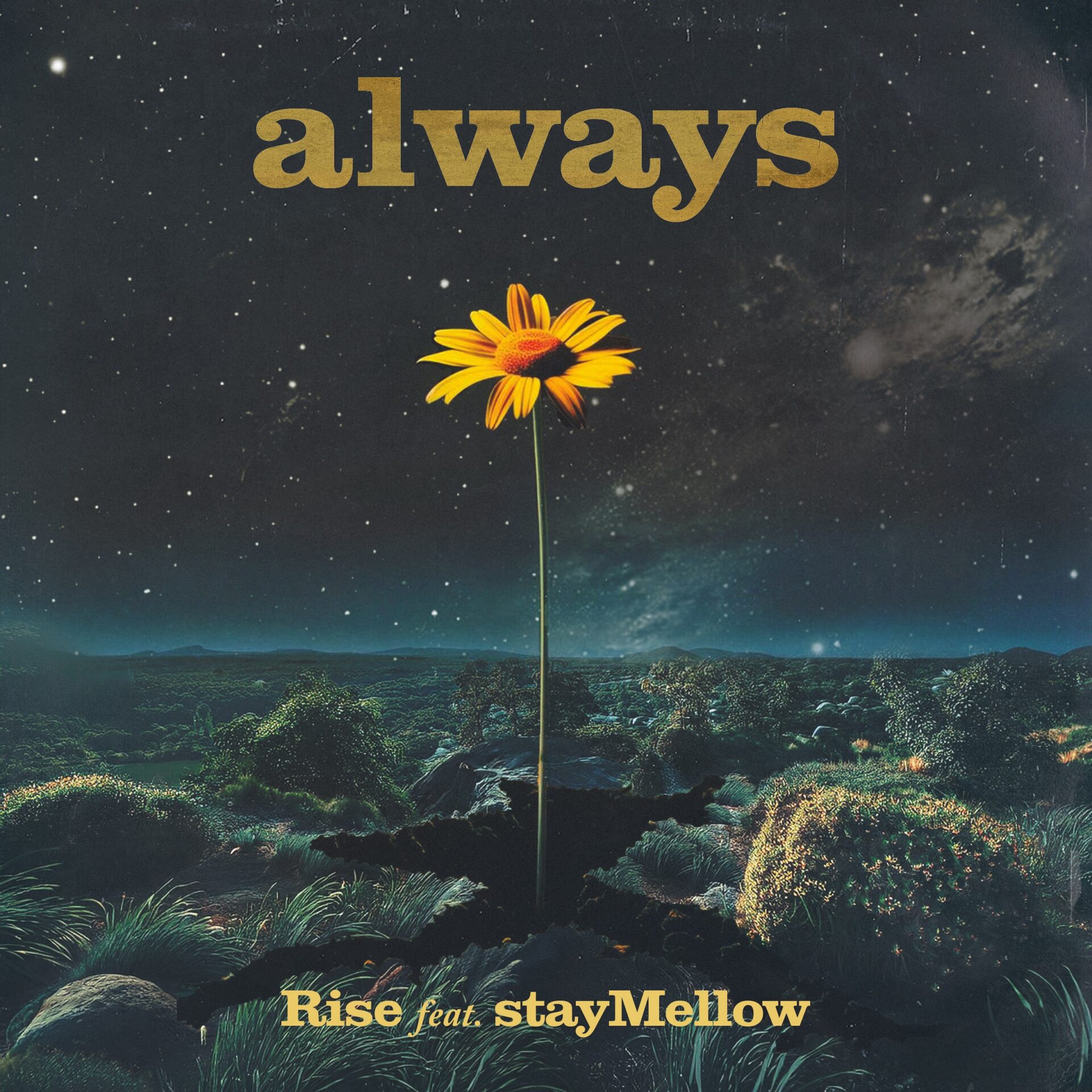 Always by RISE cover art